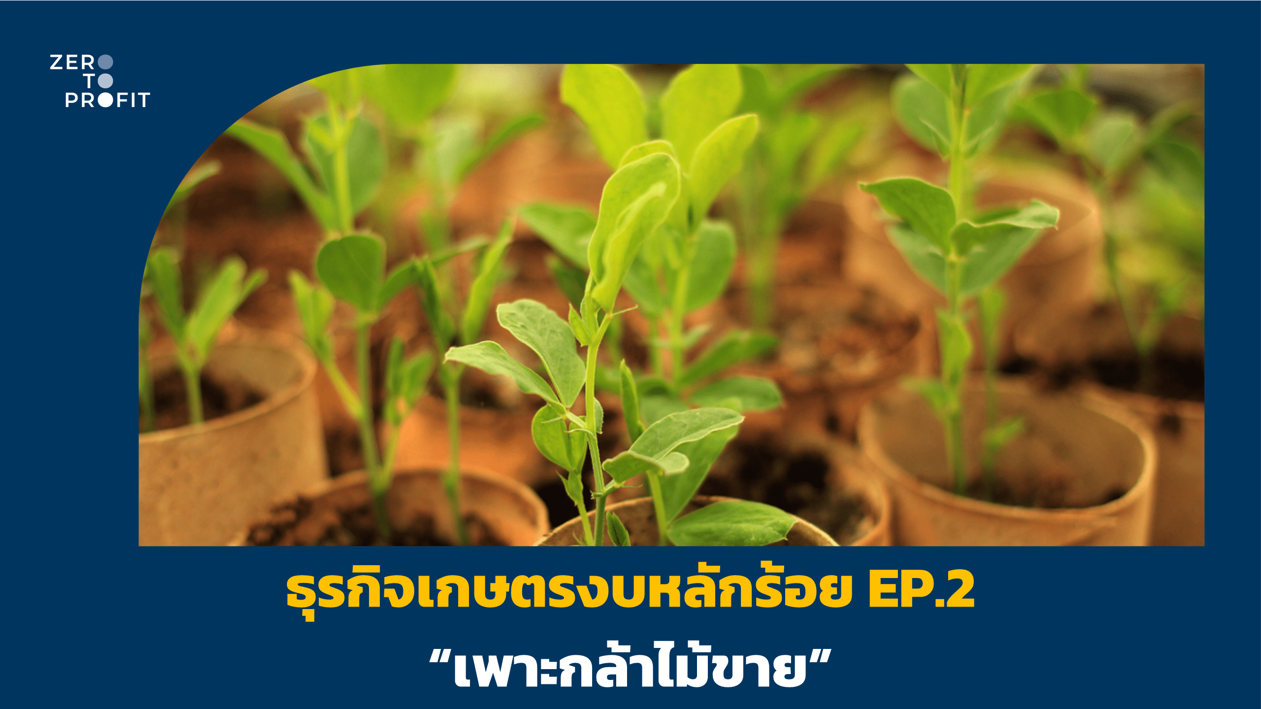 ธุรกิจเกษตรงบหลักร้อย EP.2 “เพาะกล้าไม้ขาย”